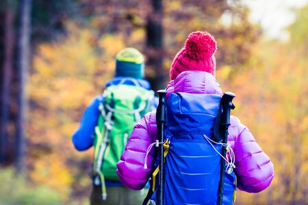 Man and woman couple hikers trekking in yellow autumn woods and mountains. Young people walking on trek trail with backpacks, healthy lifestyle adventure, camping on hiking trip, Poland.の写真素材