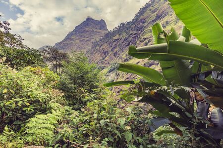 Beautiful Himalayan  Inspirational Landscape. Looking and Mountains and valley with forest and green trees. Annapurna Himal Range on Annapurna Circuit Trek. Autumn season in Nepal, Asia.の写真素材