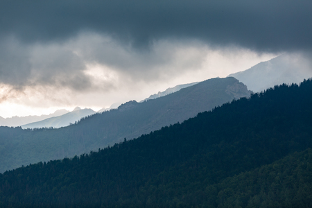 Inspiring Mountains Landscape, cloudy day in summer Tatras, woods and mountain ridge over cloudy sky, Slovakiaの写真素材