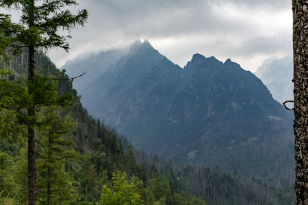 Inspiring Mountains Landscape, cloudy day in summer Tatras, woods and mountain ridge over cloudy sky, Slovakiaの写真素材