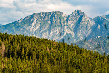 Giewont Mountain, Inspiring Mountains Landscape, beautiful day in summer Tatras, flowers and mountain ridge over blue sky in Zakopane, Polandの写真素材