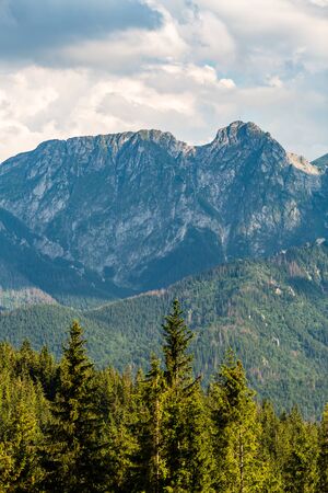 Giewont Mountain, Inspiring Mountains Landscape, beautiful day in summer Tatras, flowers and mountain ridge over blue sky in Zakopane, Polandの写真素材