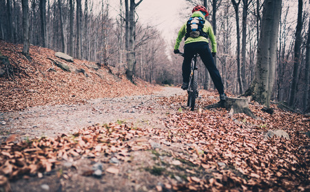 Mountain biker cycling on trail in forest. Mountains in autumn woods landscape. Man cycling MTB bike on rural country road. Sport fitness motivation and inspiration.の写真素材