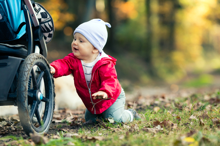 Baby boy playing in autumn forest with stroller, outdoors fun. Happy child on hiking trip in woods.の写真素材