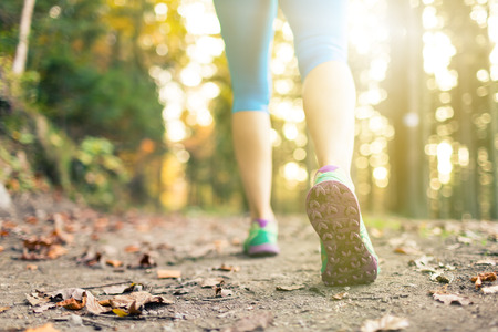 Woman walking and hiking in autumn forest, sport shoes. Jogging, trekking or training outside in autumn nature. Inspiring health and fitness concept.の写真素材