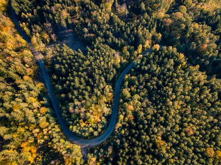 Aerial view of road in the autumn forest, from above view, drone point of view. Inspiring autumn season landscape background.の写真素材