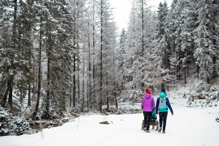 Mother with baby stroller enjoying motherhood in winter forest, mountains landscape. Jogging or power walking woman with sledge pram in woods. Beautiful winter snowy inspirational mountains.の写真素材