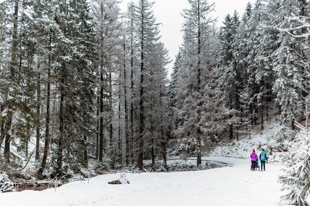 Mother with baby stroller enjoying motherhood in winter forest, mountains landscape. Two women hiking with sledge pram in woods. Beautiful winter snowy inspirational mountains.の写真素材