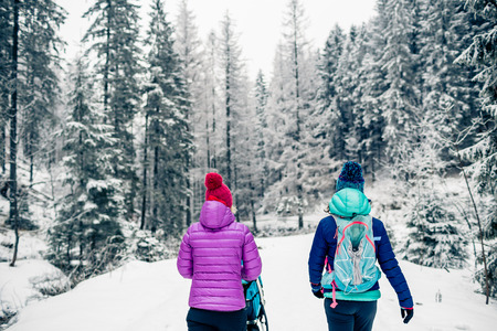 Mother with baby stroller enjoying motherhood in winter forest, mountains landscape. Jogging or power walking woman with sledge pram in woods. Beautiful winter snowy inspirational mountains.の写真素材