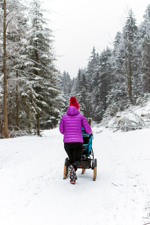 Mother with baby stroller enjoying motherhood in winter forest, mountains landscape. Hiking woman with sledge pram in woods. Beautiful winter snowy inspirational mountains.の写真素材