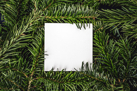 Christmas card note on green spruce tree branches wbackground. Top closeup view with copy space.の写真素材