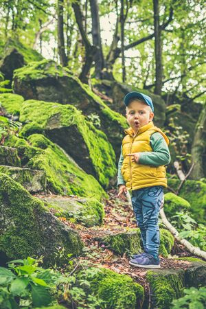 Toddler boy hiking in mountains, family adventure. Little child walking in rocky green forest, smiling.の写真素材