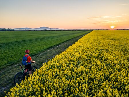 Man riding mountain bike on country road. Looking at sunset between yellow colza fields. Cycling man with helmet and backpack, inspirational landscape.の写真素材