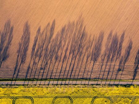 Aerial view of shadow of trees by a road, agriculture concept from drone perspective. Natural flat background directly above fields. Drone photography.の写真素材