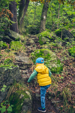 Toddler boy hiking in mountains, family adventure, top view. Little child walking in rocky green forest.の写真素材