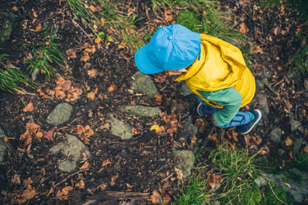 Little boy hiking in mountains, family adventure, top view. Little child walking in rocky green forest.の写真素材