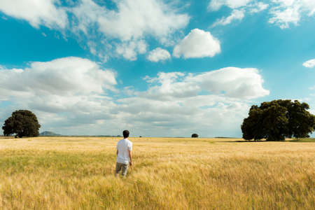 In the image can see a beautiful meadow in a central province from Spainの写真素材