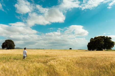 In the image can see a beautiful meadow in a central province from Spainの写真素材