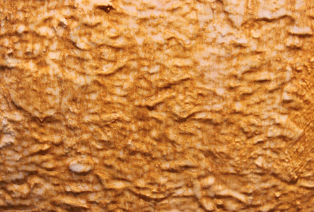 wet surface crusts on stony fountain 
