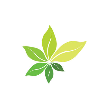 fresh bio green leaves organic herb symbolのイラスト素材