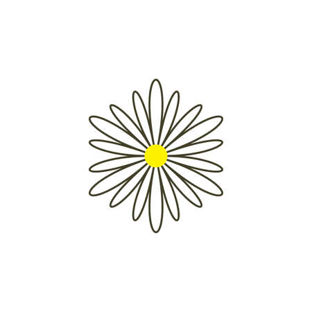 chamomile icon vector flower herbのイラスト素材