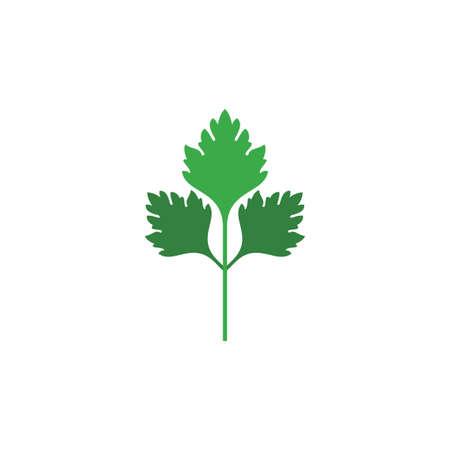 parsley plant logo vector icon designのイラスト素材