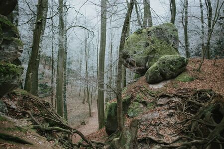 big rocks in national park bohemian paradiseの写真素材