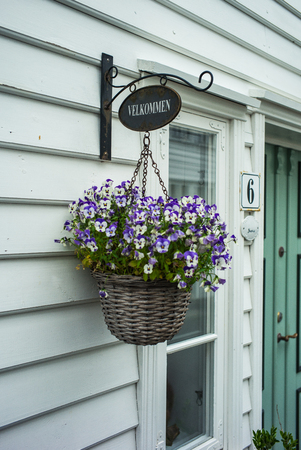 Violets decorated door in the Norwegian town.の写真素材