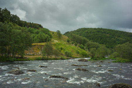 wild river in national park, Norway, Scandinavian
