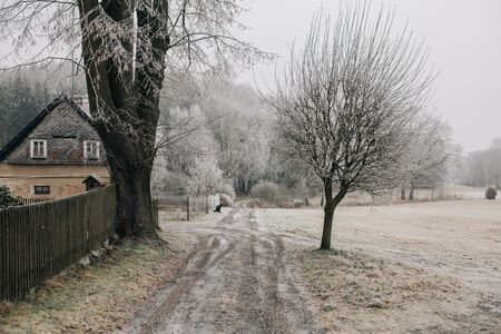 road to the woods winter landscape covered with frostの写真素材
