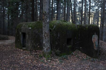 bunker from the First World War on the border of Czech and Germanyの写真素材