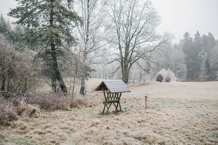 feeder for forest animals in a winter country covered with frostの写真素材