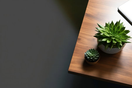 Minimalist Laptop Table: Succulent Plant Generative AIの素材