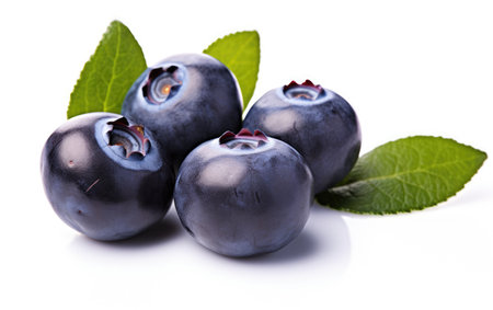 Vibrant Plump Blueberries White Backgroundの素材