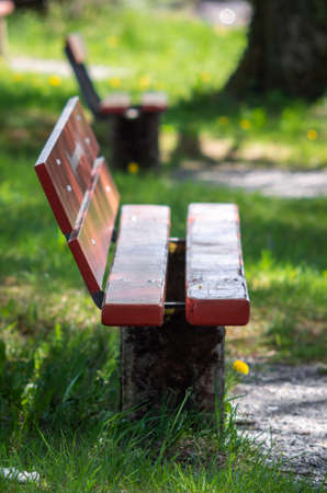 Bench in a parkの写真素材