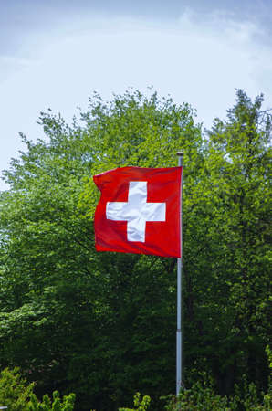 Swiss flag against green tree 1の写真素材