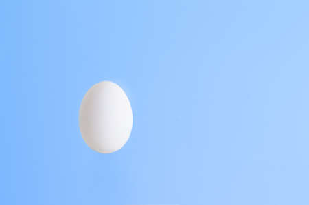 Single white egg isolated against light blue backdropの写真素材