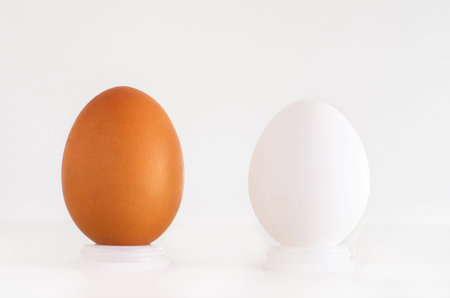 Brown and white eggs next to eachother isolated against white background