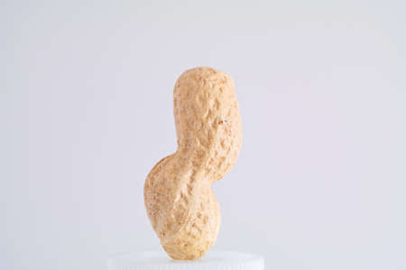Single peanut in shell macro close up shot vertical curved isolated against with background 2020の写真素材