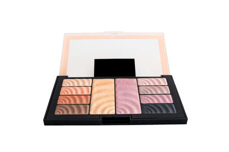 Cosmetic makeup powder set various shades, colors and a brush isolated against white top view 2020の写真素材