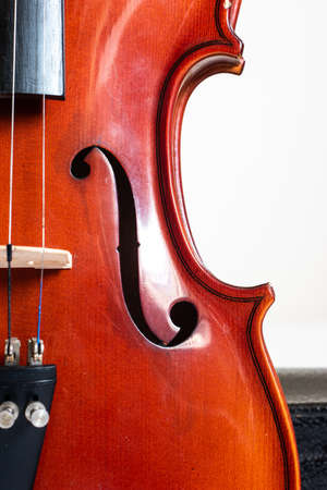 Wooden violin close up detail shot of houseing with holes and cord bridge.の写真素材