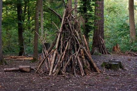 Forest camp site tall wooden tent made of branches autumn day.