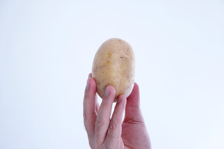 Whole raw potato held by Caucasian male hand close up shot isolated on white.