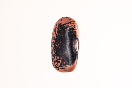 Uncooked whole dried large brown and black bean macro close up shot front view isolated on gray.