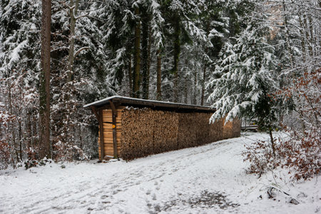 Chopped stacked and organized firewood set in a snowy forest pathway in early December Switzerland.の写真素材
