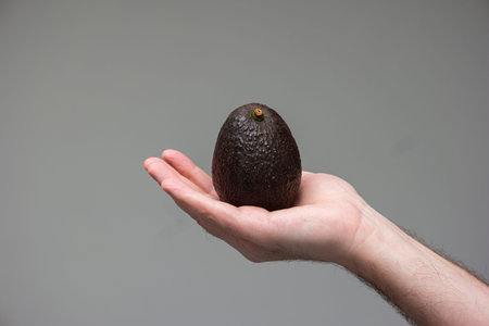 Caucasian male hand holding a ripe brown avocado isolated on gray background.