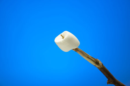 Marshmallow candy on a wooden stick skewer close up studio shot isolated on blue background.
