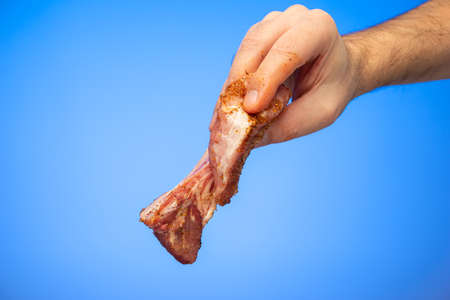 Raw seasoned sliced pork rib held by Caucasian male hand studio shot isolated on blue background.の写真素材
