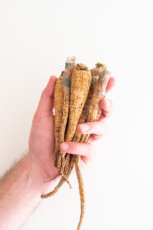 Caucasian male hand holding a bunch of spoiled rotten roots of parsley top view isolated on white...