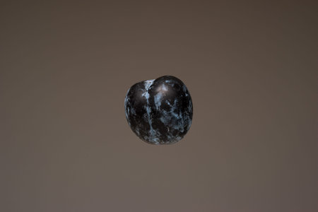 Single fresh ripe plum fruit. Close up studio shot, isolated on brown background.